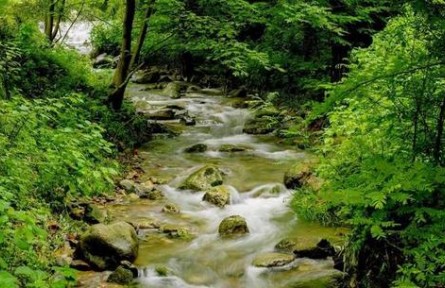 甘肃推进祁连山国家公园体制试点