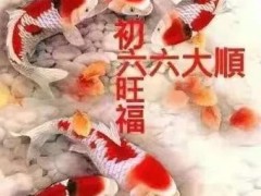 方老师心声 第1783篇：大年初六说送穷