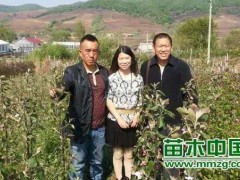 方老师心声 第1800篇：新冠肺炎过后，苗农如何经营