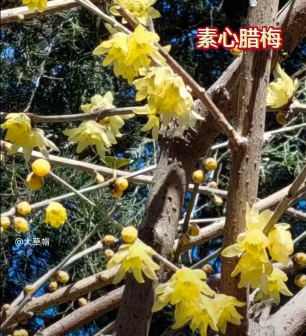 微信图片_2025-05-30_083542_198_副本