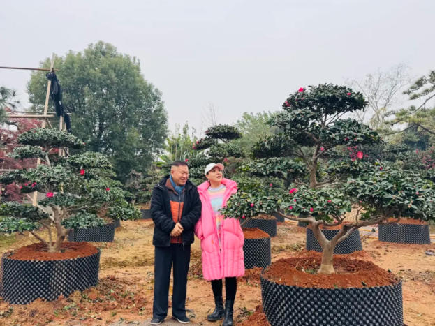 wechat_2025-05-31_081754_474