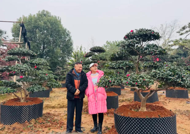 wechat_2025-06-03_082936_283