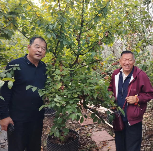 wechat_2025-06-06_084228_981